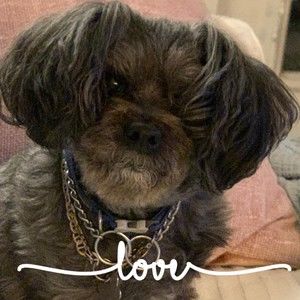 Meet your Posher, Gretchen